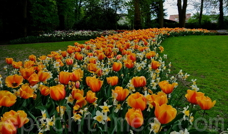 布鲁塞尔大拜哈尔登城堡（Château de Grand-Bigard）公园的第十二届春季花卉展览。（萧依然／大纪元）
