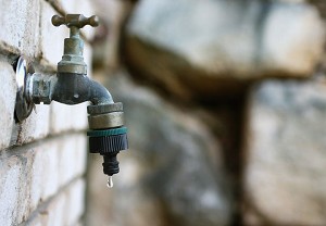 不節約用水就坐牢　美喬州採嚴刑峻法