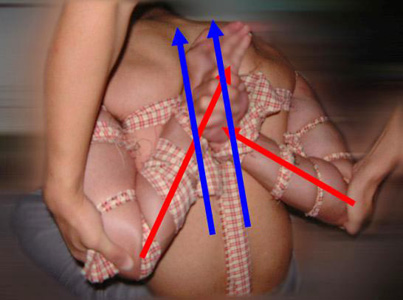 圖2：手臂反綁在後背向上拉，雙臂反綁在後背向上拉。紅色箭頭代表雙手前手臂， 藍色箭頭為雙前手臂最終被綁成的位置（雙前手臂並成「11」字型，並排，如平行的藍色箭頭）。 

<p/></a><figcaption id=