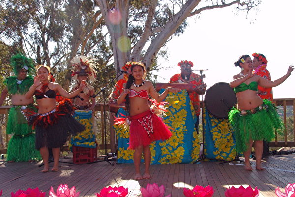摩克群岛音乐舞蹈表演。（大纪元图片）