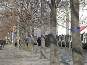 天津街頭出現藍色絲帶(大紀元圖片)