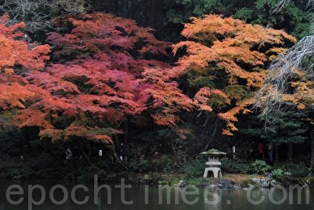 成田山新勝寺的紅葉（攝影: 木雨 / 大紀元）