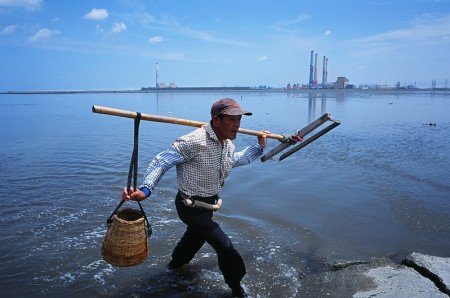 彰化海岸的自然资源是农渔民的生活依赖之一。（柯金源拍摄／公视提供）
