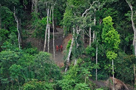 巴西亚马逊河流域的热带雨林（Gleison Miranda/AFP ImageForum）