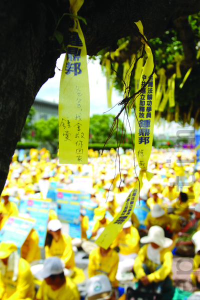 7.23在凱達格蘭大道樹上繫上千條黃絲帶，呼籲總統馬英九緊急營救鍾鼎邦。（攝影：丹尼爾／大紀元）