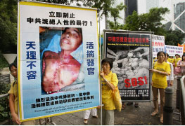 香港法轮功学员在呼吁制止中共迫害的游行队伍中，展示黑龙江法轮功学员王斌遭活摘器官的事实。（AFP）