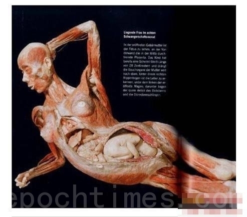 这位中国孕妇和她肚里8个月胎儿到底怎么死的？又是谁家妻儿？（网络图片）