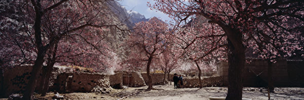 图﹕风光自然类铜奖作品《 帕米尔高原杏花村人家》﹐作者为中国大陆的李银湖。