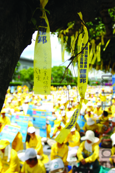 7.23在凯达格兰大道树上系上千条黄丝带，呼吁总统马英九紧急营救钟鼎邦。（摄影：丹尼尔／大纪元）