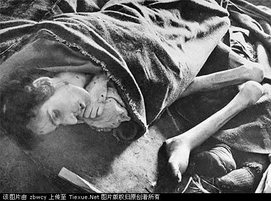 納粹集中營中奄奄一息的女人。（網絡圖片）