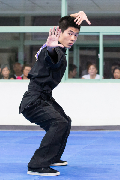 2013年新唐人第四届“全世界华人武术大赛”亚太初赛男子拳术组选手刘尚朋。（陈柏州／大纪元）