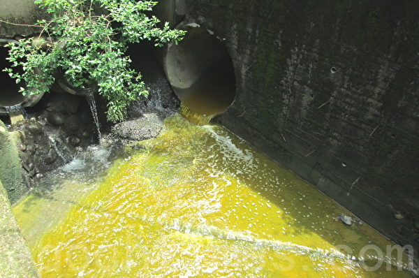 遭到硬鉻電鍍廠強酸廢水污染的溪水（大紀元）