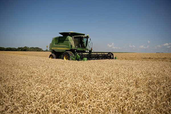 隨者農耕技術不斷推進，機械大量取代人力，迫使農業從業人員紛紛轉行。（Daniel Acker／Bloomberg via Getty Images）