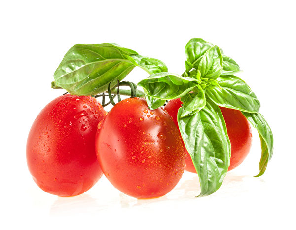 紅番茄（fotolia）