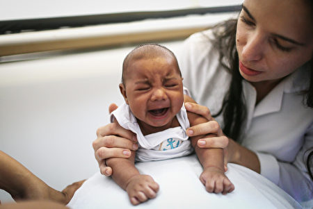 德國的Genekam生物科技公司成功研發出第一種茲卡病毒篩檢法。本圖為巴西的小腦症嬰兒。（Mario Tama/Getty Images）