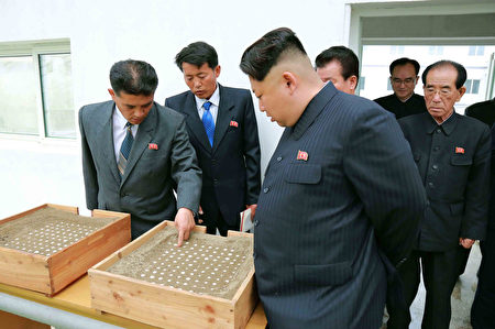 朝鲜人民长年吃不饱饭，但金正恩却日益发胖。(AFP PHOTO / KCNA VIA KNS)