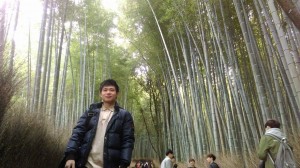 京都宇治的竹林很漂亮。（黄渝晟／提供）