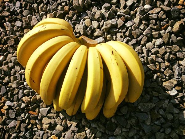 在日本熟成的集集山蕉。（集集镇公所提供）