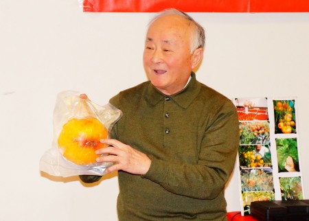 “地瓜大王”郑振芳栽种3磅重的“柿子王”。(贝拉/大纪元)