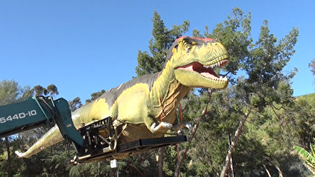 巨大的恐龙模型缓缓抵达洛杉矶动物园。（薛文/大纪元）