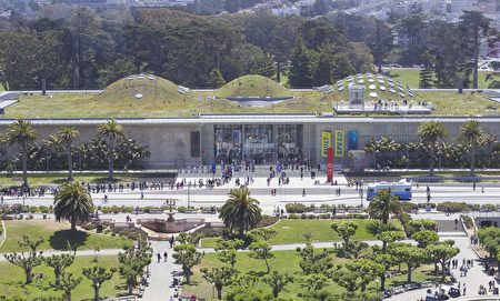 張志維的公司協助設計和完成加州科學博物館的綠屋頂。（李歐/大紀元）
