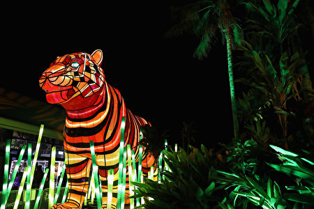 悉尼塔龙加動物園（Taronga Zoo）為2016活力悉尼燈光音樂節設計的動物造型的燈。 (Photo by Cameron Spencer/Getty Images)