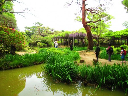 “牛岛之藤”古典的日本庭院。（可容／大纪元）