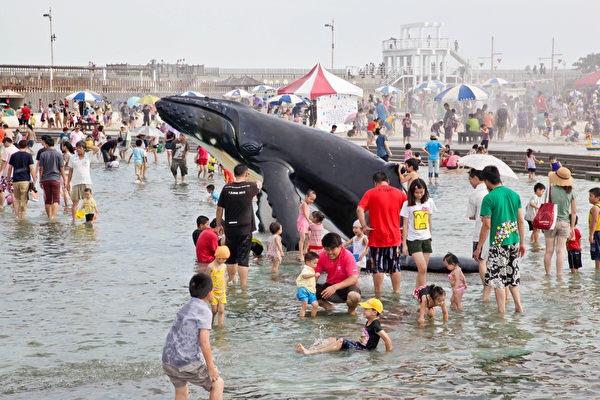 夏日消暑 東石漁人碼頭鯨魚池提早開放