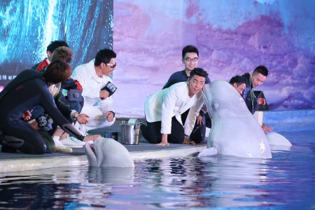 演员王大陆（中），12日在电影“鲛珠传”发布会，与水池中的可爱白鲸亲密互动，白鲸还从水中跃起与他玩亲亲。（王大陆工作室提供） 