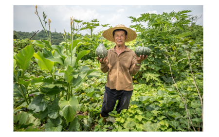 食材來自台灣小農有機蔬果，其中有機南瓜是由八卦山上的「空幾何開心農場」所栽種。（空幾何提供）