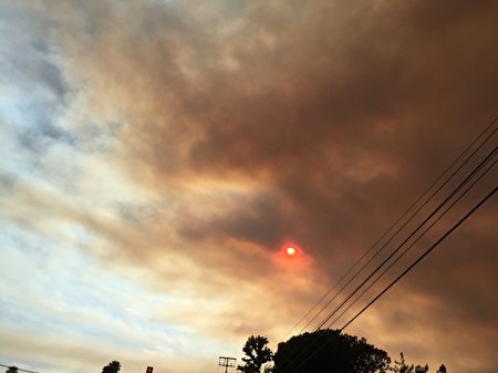 南加圣塔克雷利塔（Santa Clarita）山火的尘埃笼罩在洛杉矶上空。（消防局提供）