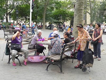 華埠獨居老人的現象十分普遍，尤其是獨居婦女多，隨著年輕一代搬離華埠，老人大多選擇獨自在華埠生活。圖為老人們在華埠哥倫布公園打牌。