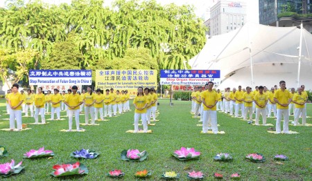 新加坡部分法輪功學員2016年7月11日下午在芳林公園集會，舉行紀念720法輪功反迫害17周年的活動。圖為法輪功學員在展示功法。（每善/大紀元）