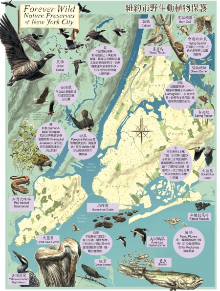 紐約市野生動植物保護地圖完整版（圖|Michael J. Feller，大紀元翻譯）