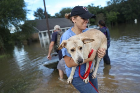 逾2萬人、1千隻寵物獲救，(Joe Raedle/Getty Images)