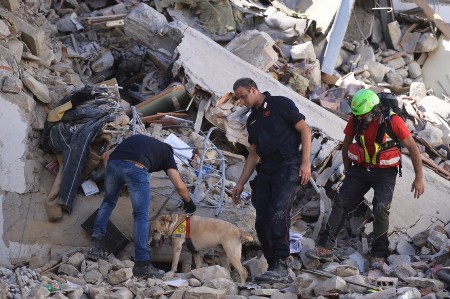 消防员和其他救援者在瓦砾中寻找生还者。 （MONTEFORTE/AFP/Getty Images)