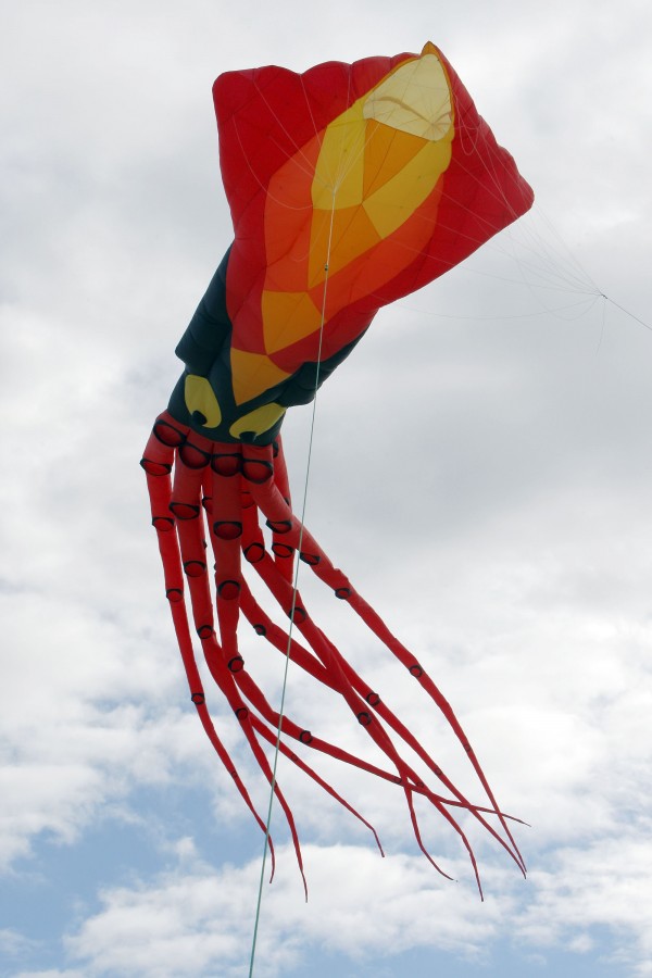 往年风筝节一景。（Amos Aikman/Getty Images）
