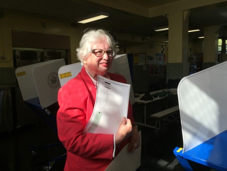 第16选区州参议员民主党候选人史塔文斯基在投票站投票。