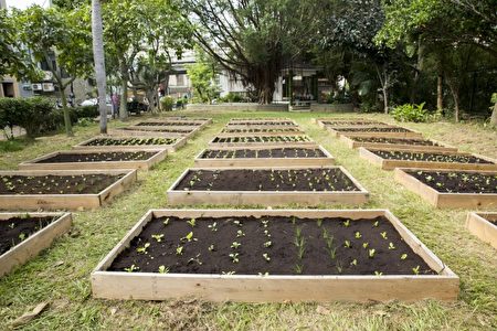 實踐「一里一可食地景」 竹市環保菜園正式啟用。（新竹市府提供）