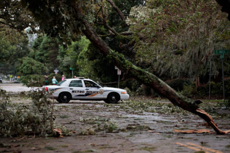 10月8日乔治亚州的萨瓦纳，被飓风击落的树木。(Drew Angerer/Getty Images)