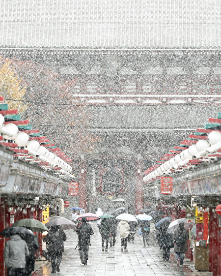 日本东京24日下起雪来，这是东京54年来第一场11月雪 ，民众冒着寒风走在通往浅草寺的仲见世通商店街上。（共同社提供/中央社） 