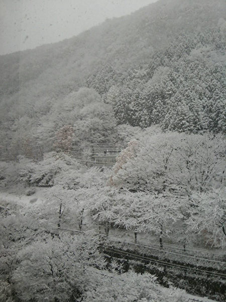 度于11月降雪。位于东京西北方群马县水上温泉则降雪 显着，形成梦幻般的景致。（读者提供／中央社）