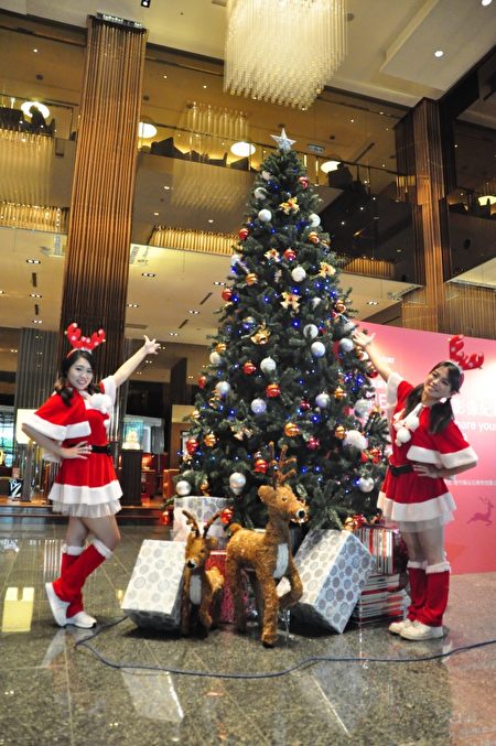 穿圣诞衣的漂亮女孩和圣诞树合影，预告着欢乐圣诞节的到来。（赖月贵／大纪元）