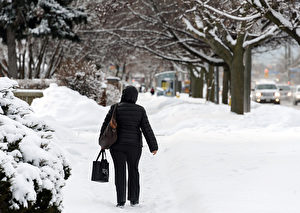 天氣網絡預測，今年冬天加國大部分地區會很冷，還有暴風雪，是一個「更加傳統的」冬天。圖爲一名婦女在多倫多的雪中行走。(Photo by Roberto Machado Noa/LightRocket via Getty Images)