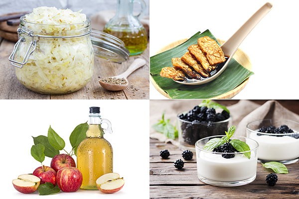 四類含乳酸菌的食物（Shutterstock）