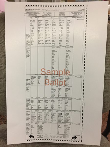 11月8日大选日选票样本。