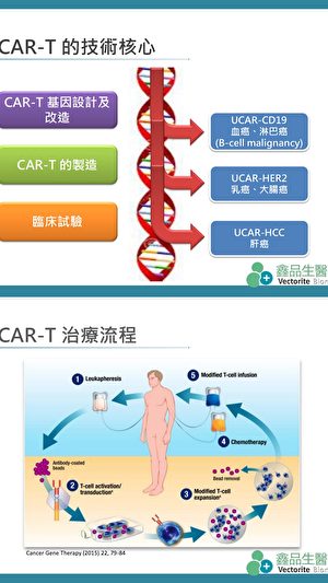 CAR-T的技术核心与治疗流程。（鑫品生医提供） 