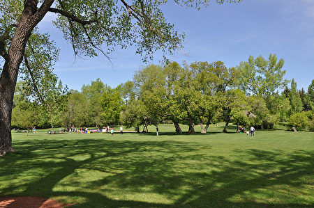 綠樹成蔭的Riley公園（Ezra提供）。
