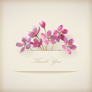 Floral spring vector \'Thank you\' pink flowers card