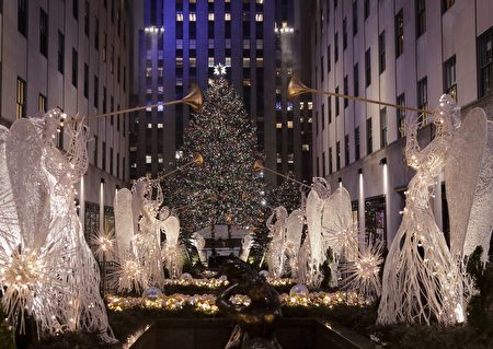 矗立在美国纽约洛克菲勒中心的圣诞树高达94英尺。（加通社）